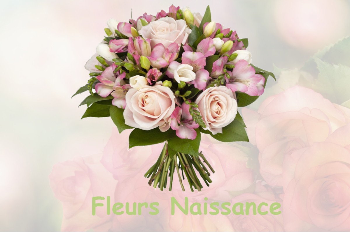 fleurs naissance DREFFEAC