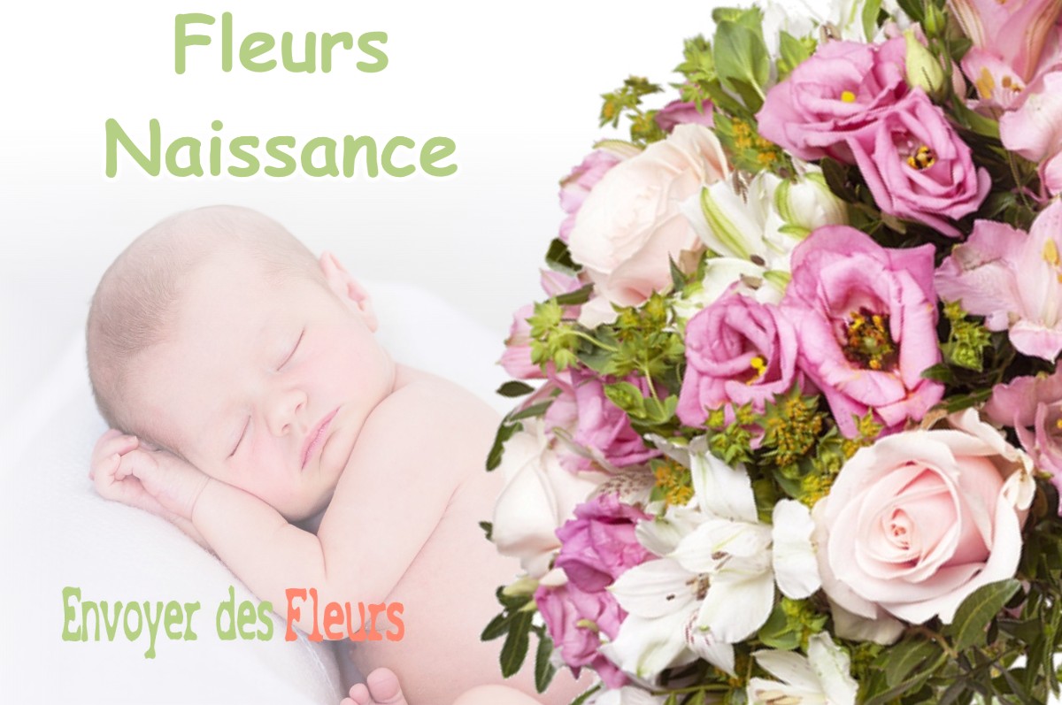 lIVRAISON FLEURS NAISSANCE à DREFFEAC